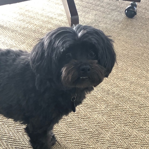 Meet your Posher, Tammie - Picture 1 of 1